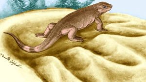 A növényevő állatok ősét fedezték fel kanadai tudósok - Eocasea-martini