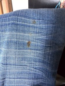 Mosás előtt - macskaürülék