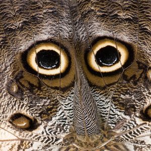 Optikai illúziók Debrecenben