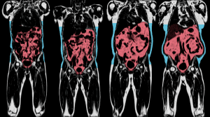 A világ legnagyobb egészségügyi vizuális adatbankja