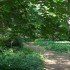 Megújult a Tiszaigari Arborétum