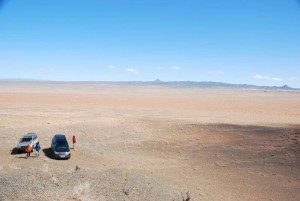 Virágzó élet volt a Góbi sivatagban