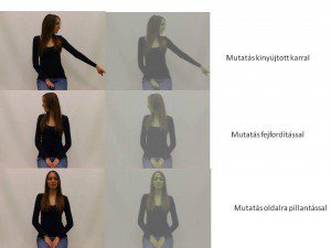 A kutya látását az eddigi etológiai kutatások többsége figyelmen kívül hagyta?