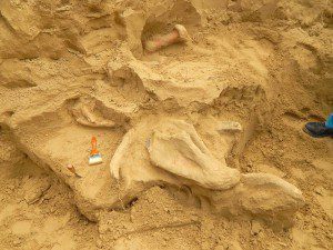 A jégkorszak legfrissebb kutatásai