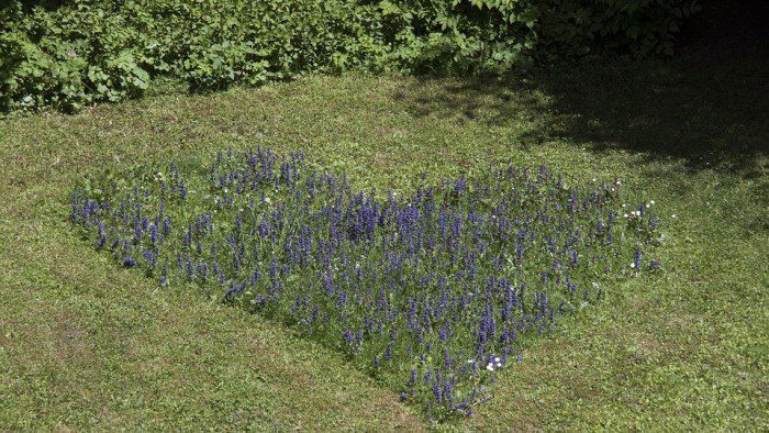 Az égetés, mint alternatív gyepkezelési módszer?