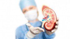 Először hoztak létre működő emberi veseszövetet élőszervezetben