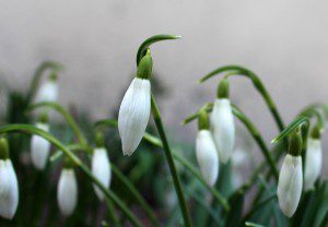 Hitte volna, hogy a Nőnap egyszerűen úgy summázható, mint politikai ünnep?