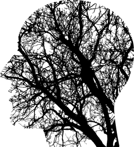 A Science Reports folyóiratban megjelent cikkükben a kutatók a hagyományos elmélet ellen szólaltak fel