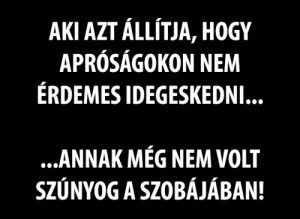 Hogyan kerüljük el a szúnyogcsípéseket?