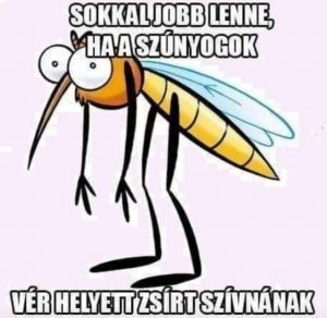 Milyen betegségeket terjeszthetnek a csípőszúnyogok? 