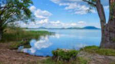 Ingyenes nyílt nap a Balaton élővilágáról Tihanyban