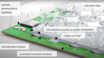 Gyógyszerhatóanyag-vizsgálatok felgyorsítása