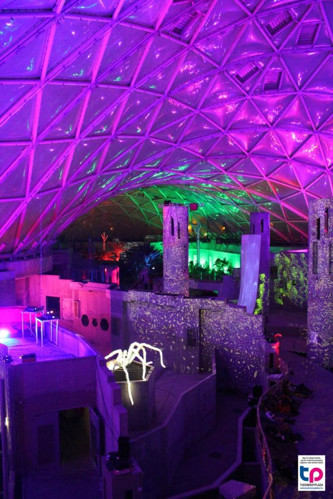 csarnok átlagos magassága 17 méter, a legmagasabb pontján 36 méter