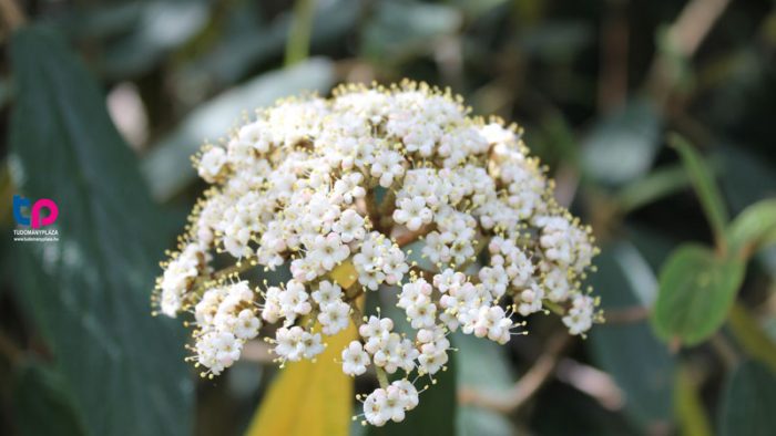 számtalan érdekes, gyönyörű növény található itt