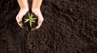 Gyógyszermaradványok a talajban