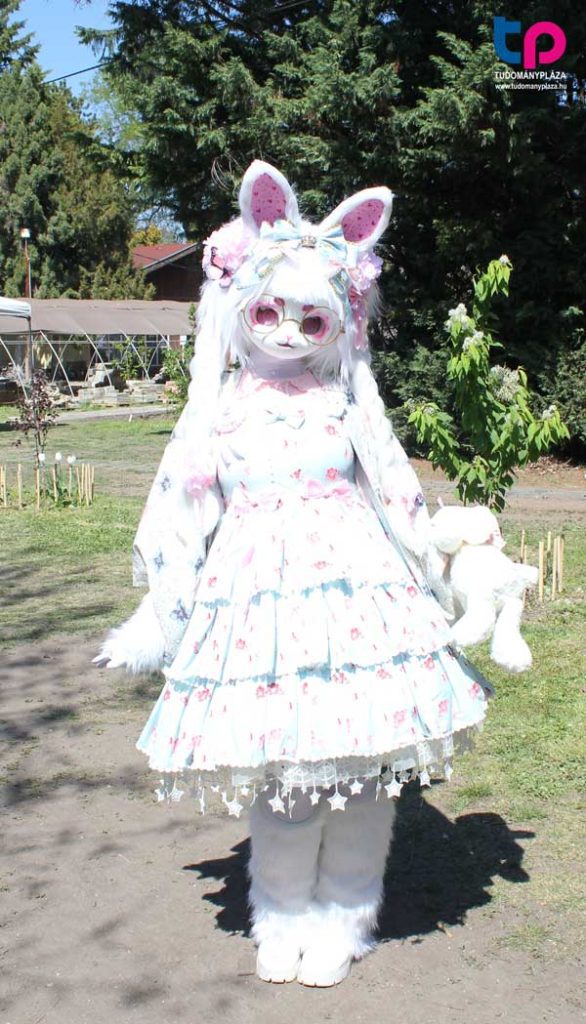 A fursuit egy olyan jelmeztípus, amelyet a „furry fandom” (antropomorf állatkarakterek rajongói közössége) tagjai viselnek, és amely egy emberi tulajdonságokkal felruházott állat- vagy kitalált karakter fizikai megjelenítésére szolgál.