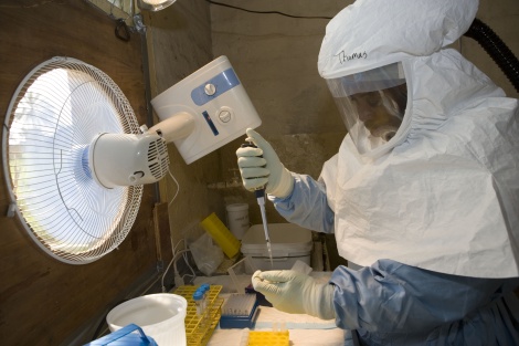 Ebola elleni kísérleti gyógyszereket és oltóanyagokat tesztelnek