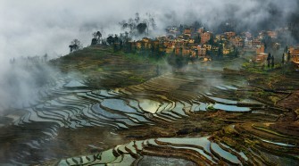 a világ legrégebbi rizsföldje