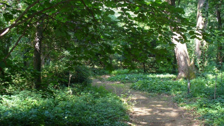 Megújult a Tiszaigari Arborétum
