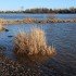 Rejtett vízszennyeződések megfigyelésére alkalmas eszköz