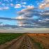 Diverfarming - Új mezőgazdasági módszer