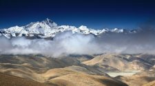 A Mount Everest növényvilága