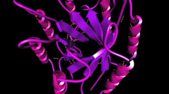Az amiloid struktúra a fehérjék egy új téralkata