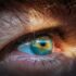 A kígyók hőlátó képessége segíthet a retina gyógyításában