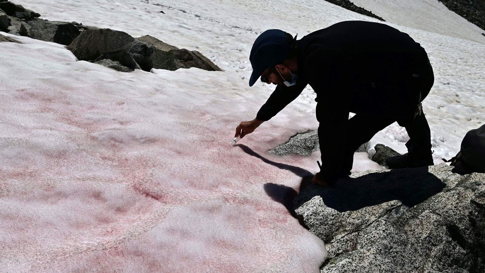 Rózsaszín hó jelent meg az olasz Alpokban