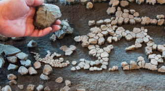 Tizenegymillió éves kérgesteknős maradványait találták meg