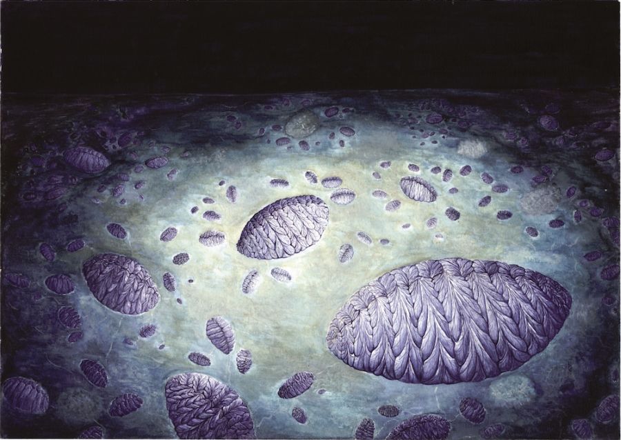 Rangeomorphak domináns élőlények voltak a korukban - Forrás: livescience.com