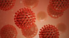 Az ultrahanghullámok képesek károsítani a koronavírusokat?