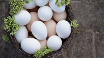 Krémszínű tojás: új magyar kuriózum