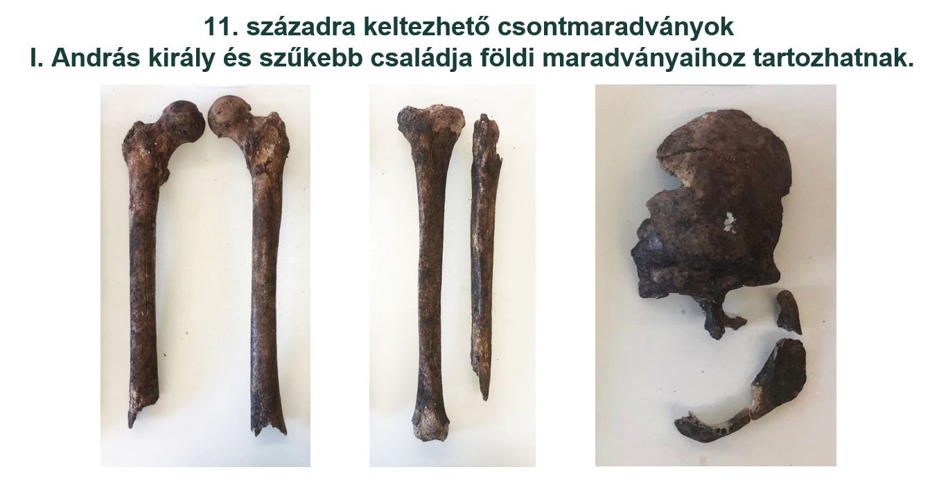 Szénizotópos vizsgálatok igazolják a tihanyi Királykriptában feltárt csontok egy részének 11. századi eredetét.