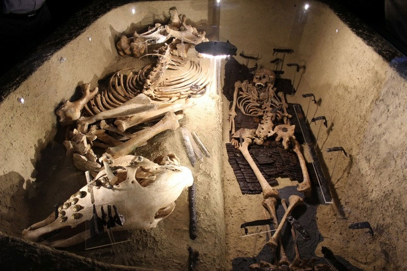 A debreceni Déri Múzeum kiállításának sírrekonstrukciója egy Derecske-Bikás-dűlőn feltárt páncélos lovas harcos sírjáról (Hága Tamara ásatása és felvétele)