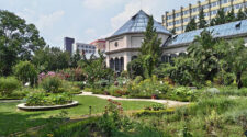 250 éves az ELTE Füvészkertje. Májusban Magyarországon rendezik a botanikus kertek kongresszusát