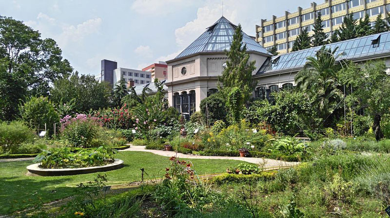 250 éves az ELTE Füvészkertje. Májusban Magyarországon rendezik a botanikus kertek kongresszusát