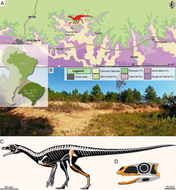 A pteroszauruszok evolúciója - 225 millió éves hüllőt fedeztek fel Brazíliában