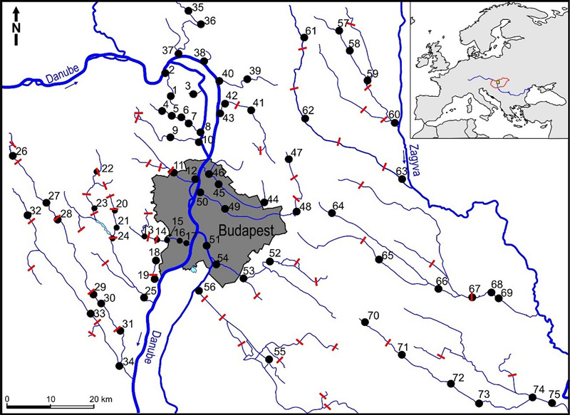 Mintavételi helyszínek a budapesti várostérségben. A piros vonalak a főváros környéki szennyvíztisztítókat, illetve befolyóikat jelölik.