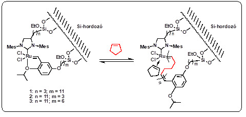 A kutatók a munka során makrociklikus polimereket – elsősorban polipenténamereket – állítottak elő szilíciumhordozós, ruténiumalapú olefinmetatézis-katalizátorokkal, gyűrűexpanziós metatézis polimerizációval (ring expansion metathesis polymerization ‒ REMP).