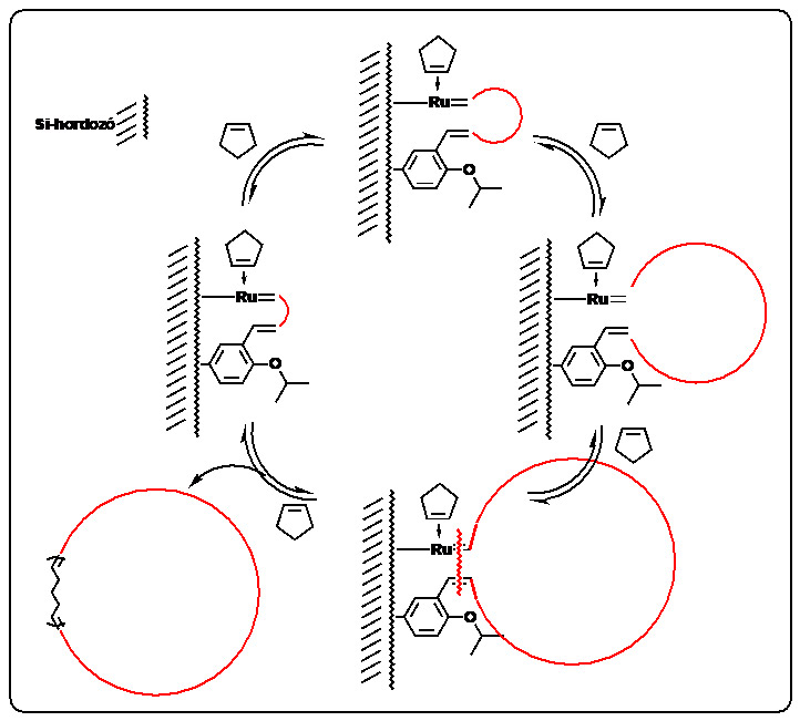 Makrociklusos polimerek szintézise gyűrűtágító metatézis polimerizációs (REMP) eljárással