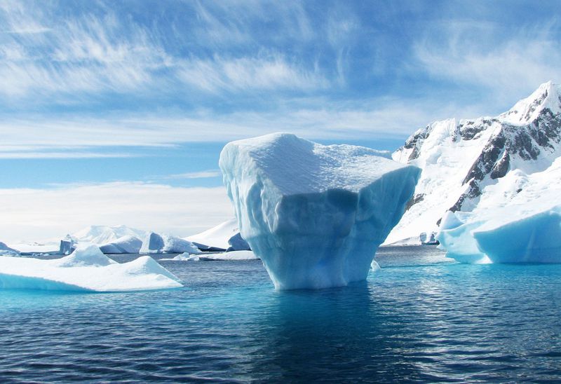 Az Antarktisz titkai - kvíz sarkkutatóknak