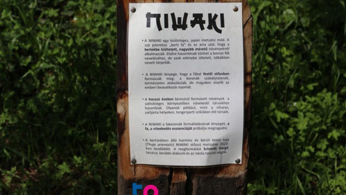 niwaki metszés
