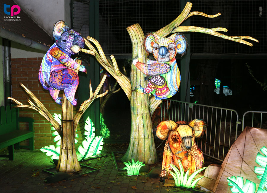 A bemutatott lampionok a kínai Zigong városából érkeztek