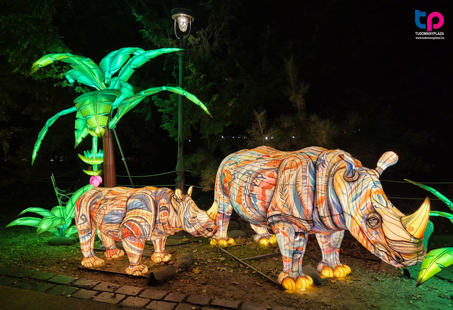 Érdemes kényelmes cipőben, fázósoknak bundabugyiban érkezni a Világ Állatai Kínai Lampion Fesztivál helyszínére.
