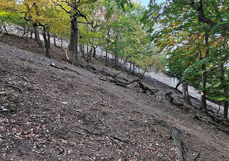 Az erózió - Fotó Dr. Riezing Norbert