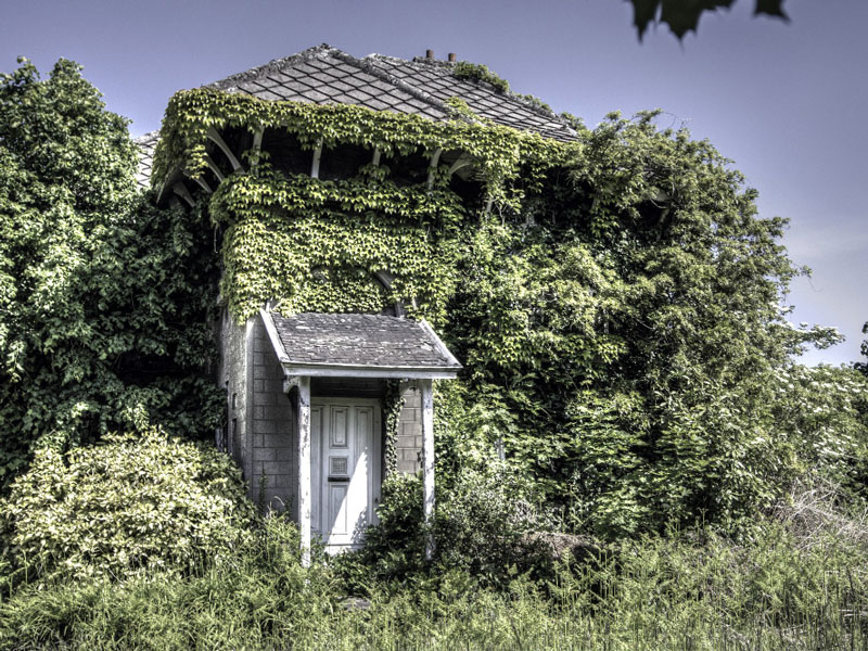 Az ember és a természet kapcsolata egy láthatatlan szövetség és nem egy fekete-fehér történet, ahol az ember csak pusztít, a természet pedig csak akkor virágzik, ha mi eltűnünk.