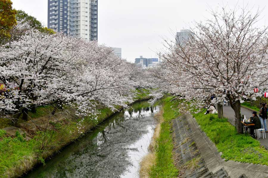 A világ kitágult, mindenki a saját szintjén, a saját pillanatában és életében éli meg az ünnepet