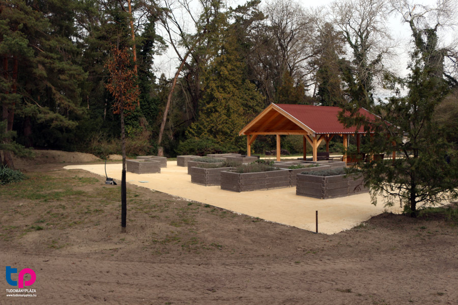 Lesz itt gyógynövénykert is, ahol már most több magaságyás és egy nyitott pavilon is helyet kapott.