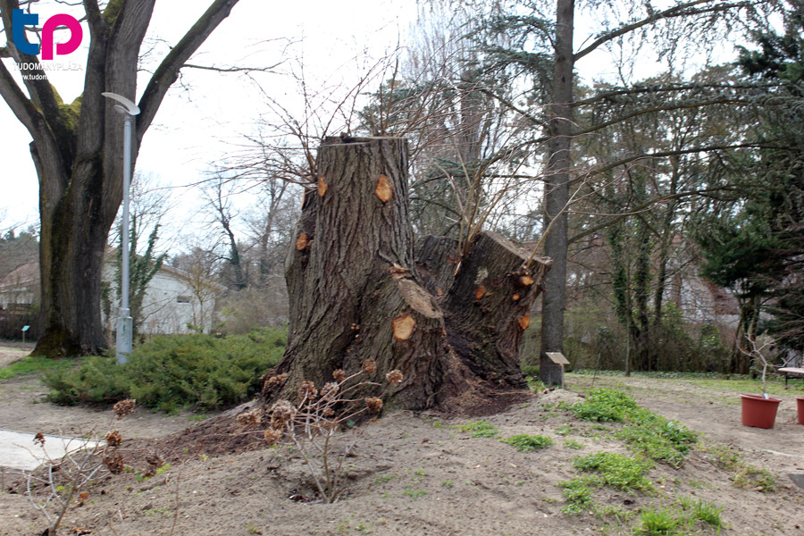 Ez a vadregényes arborétum nem csupán botanikai gyűjtemény